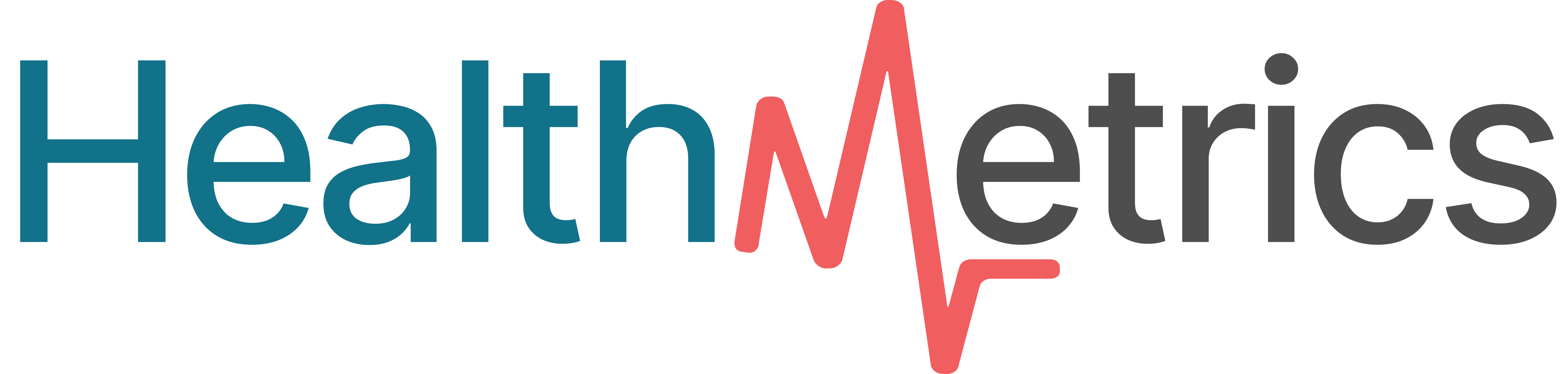 HealthMetrics Logo